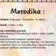 Čtyřsměrky - Svatý Martin 11.11. 2