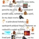 MIKULÁŠSKÁ NADÍLKA - MALOVANÉ ČTENÍ  5