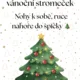 🎄✨ Vánoční stezka 4