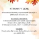 Stromy v lese 2