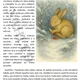 Adventní příběhy - Víla Třpytěnka a hledání ztracené hvězdy 5