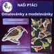 NAŠI PTÁCI I. - omalovánky a modelovánky 2