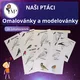 NAŠI PTÁCI I. - omalovánky a modelovánky 5