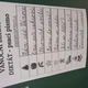 VÁNOCE - BĚHACÍ DIKTÁT - PSACÍ PÍSMO - 2. -3. třída 3