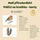 Malí přírodovědci: Demonstrační karty Ptáčci u krmítka 2