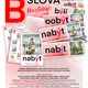 Vyjmenovaná slova po B - rozlišování  2