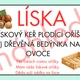 VYJMENOVANÁ SLOVA PO L- problémové dvojice 3