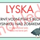 VYJMENOVANÁ SLOVA PO L- problémové dvojice 4