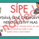 VYJMENOVANÁ SLOVA PO S, Z - problémové dvojice 3