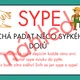 VYJMENOVANÁ SLOVA PO S, Z - problémové dvojice 4