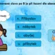 Riskuj - vyjmenovaná slova po B 3