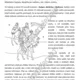 TŘI KRÁLOVÉ - ČTENÁŘSKÁ GRAMOTNOST 7