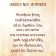 Z lesa do pelíšku - uspávání lesních zvířátek (pohádkový vzdělávací materiál) 8