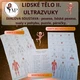 LIDSKÉ TĚLO II. - svalová soustava 4