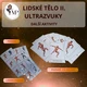 LIDSKÉ TĚLO II. - svalová soustava 5