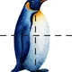 🧊 POLÁRNÍ OBLASTI S MEDVÍDKEM MÍŠOU - didaktický balíček pro MŠ 🐻‍❄️❄️ 8