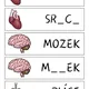 LIDSKÉ TĚLO - které písmenko chybí? 2
