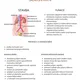 SOUSTAVY LIDSKÉHO TĚLA - přírodopis, biologie 4