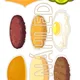HAMBURGER - skládání podle předlohy 4