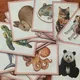 Animals - flashcards a 10 aktivit do výuky 3