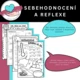 Sebehodnocení a reflexe  2