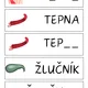 LIDSKÉ TĚLO - které písmenko chybí? 3