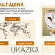 Sovy – práce s informacemi 3