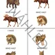 I have - Who has? forest animals 2