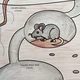Obří omalovánka zvířátka v zimě, PDF 2