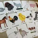 Demonstrační karty - Farm Animals (ručně malované) 3