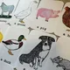 Demonstrační karty - Farm Animals (ručně malované) 5