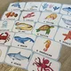 Demonstrační karty - SEA ANIMALS  2