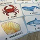 Demonstrační karty - SEA ANIMALS  3
