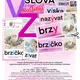Vyjmenovaná slova po V – 2. část a po Z - rozlišování  2