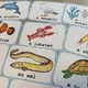 Demonstrační karty - SEA ANIMALS  4