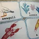 Demonstrační karty - SEA ANIMALS  6