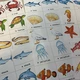 Třísložkové karty SEA ANIMALS 5