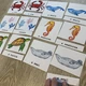 Třísložkové karty SEA ANIMALS 3