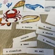 Třísložkové karty SEA ANIMALS 4
