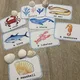 Demonstrační karty - SEA ANIMALS  8
