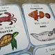 I have, who has? SEA ANIMALS - ručně malované obrázky 2