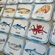 Pexeso - Sea Animals 4