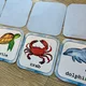 Pexeso - Sea Animals 3