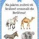 Plotovka tří králů 3
