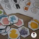 Barevné třídění - hexagon kartičky, barvy, demonstrační obrázky, poznávání barev 3