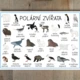 Já mám, kdo má? - Polární zvířata 4