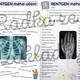 RENTGEN UČENÍ – SEBEHODNOCENÍ (jak se žáci dívají na své učení) 4