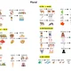 Scavenger Hunt - Plurals 2