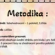Sebehodnocení - 1.třída, 1.pololetí 2
