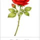 Valentine's day - soubor aktivit 3